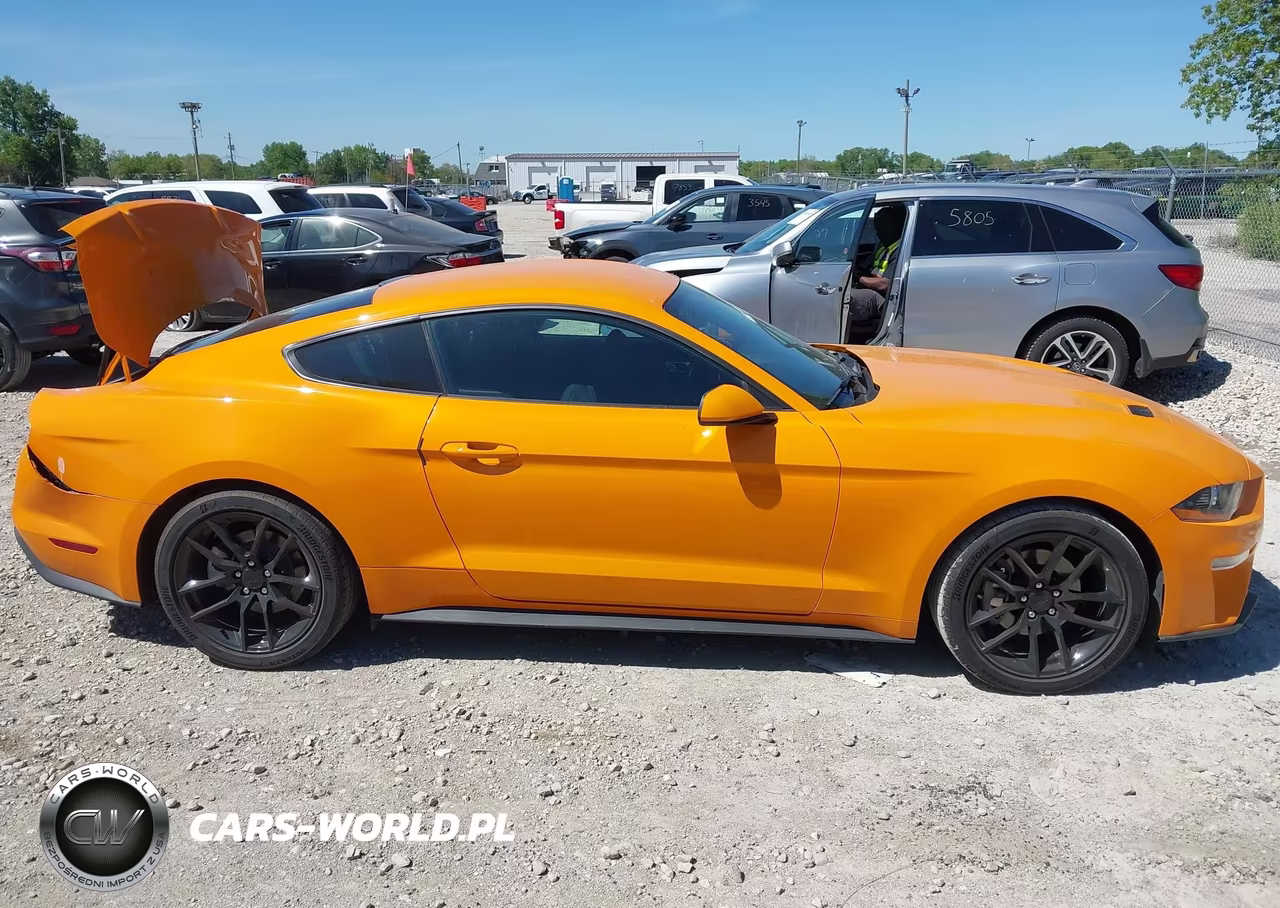 2018 Ford Mustang Ecoboost VIN:1FA6P8TH1J5105680 - 13