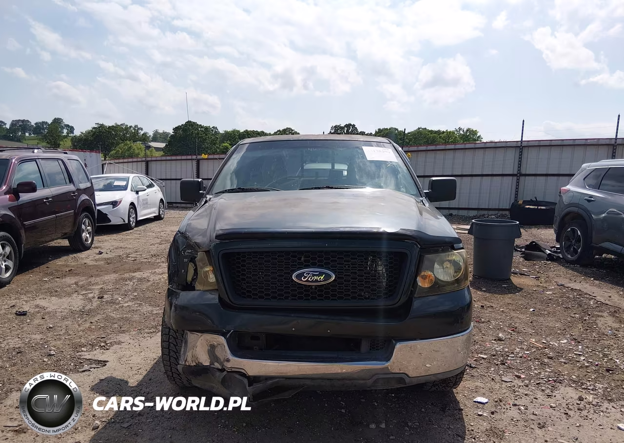 2004 Ford F-150 Stx-Xl-Xlt VIN:1FTRX12W14NA05548 - 12