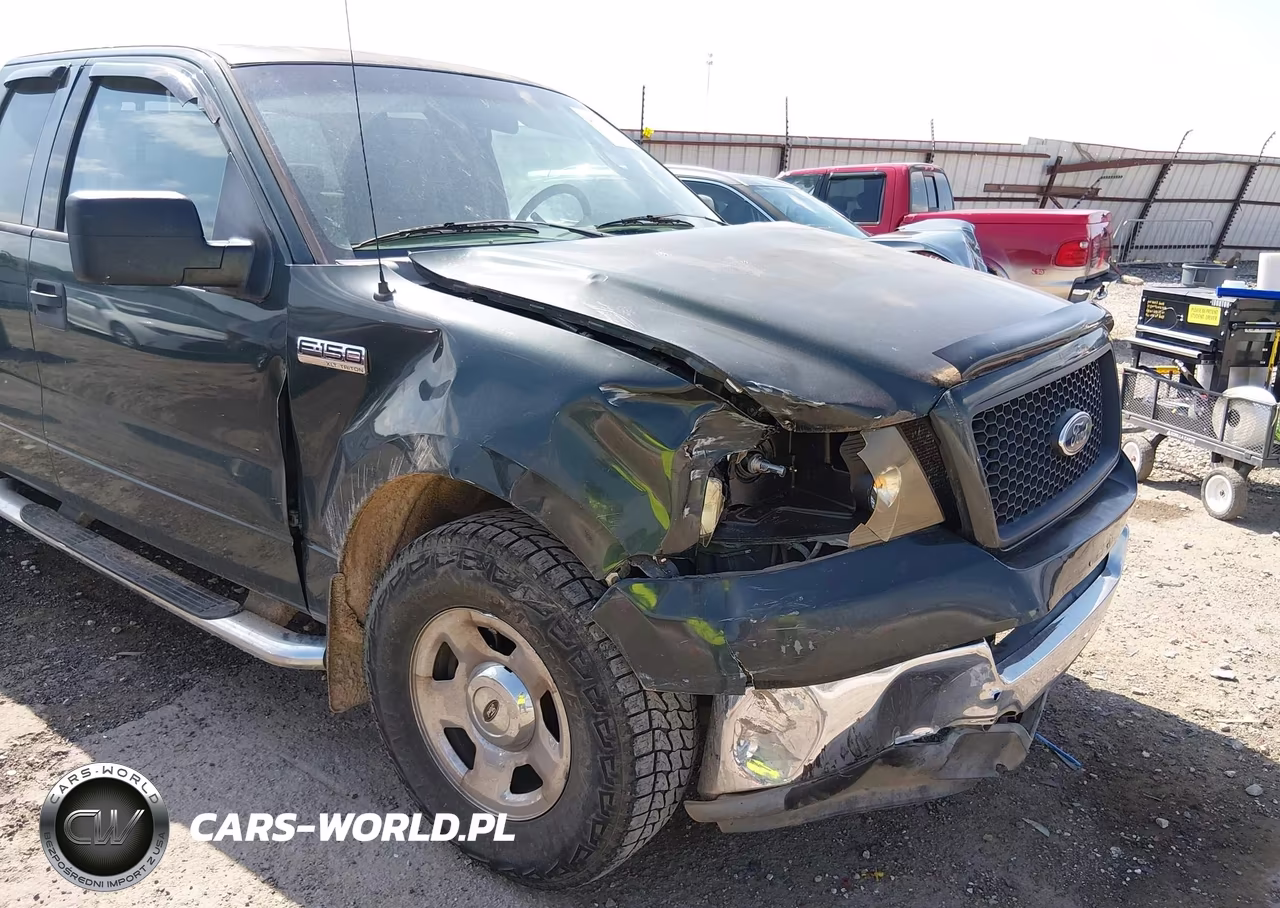 2004 Ford F-150 Stx-Xl-Xlt VIN:1FTRX12W14NA05548 - 6