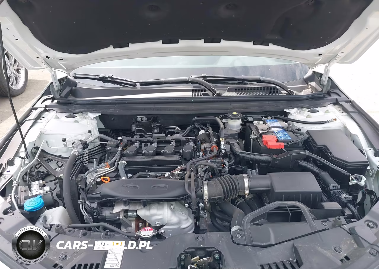 2024 Honda Accord Ex VIN:1HGCY1F36RA036524 - 10