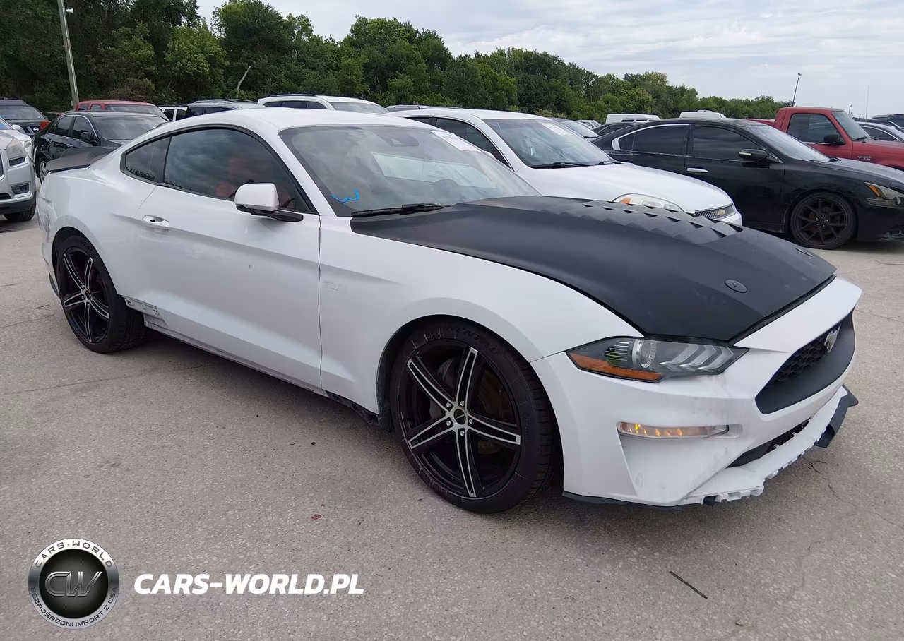 2022 Ford Mustang Gt Premium Fastback – zdjęcie 1 z 19