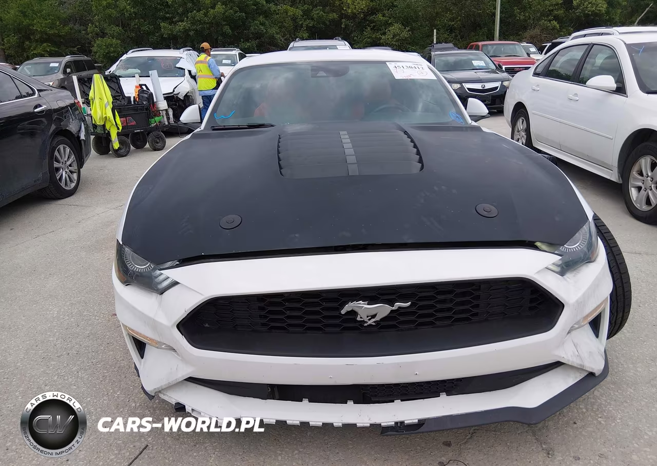 2022 Ford Mustang Gt Premium Fastback VIN:1FA6P8CF6N5104271 - 12
