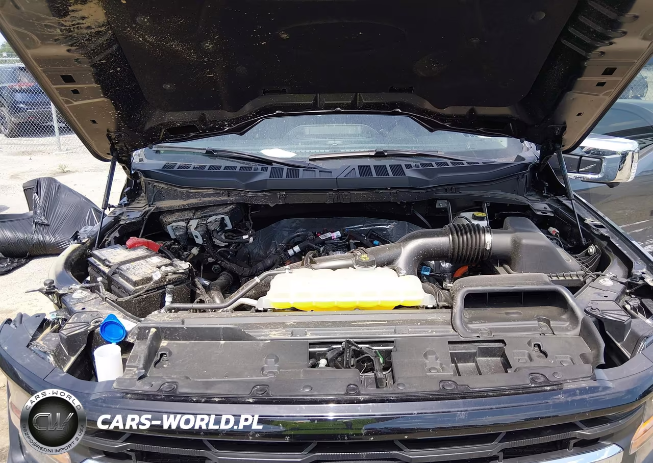 2025 Ford F-150 Xlt VIN:1FTEW3KP3SKF41955 - 10