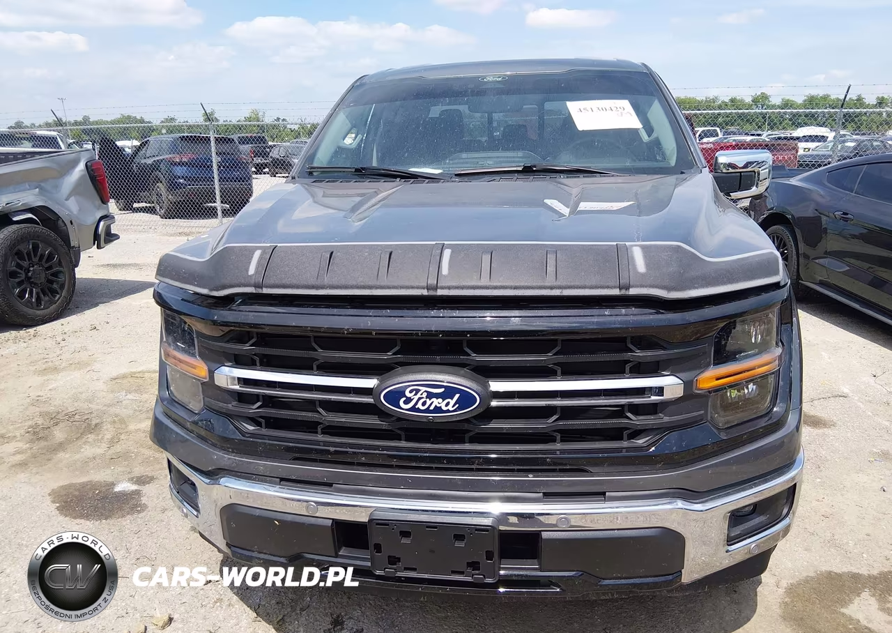 2025 Ford F-150 Xlt VIN:1FTEW3KP3SKF41955 - 12