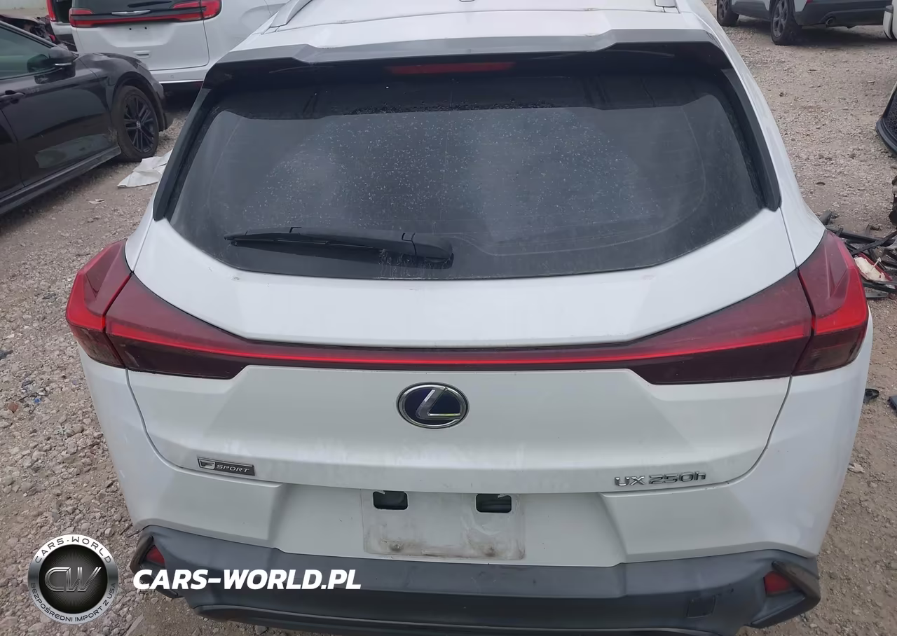 2020 Lexus Ux 250H F Sport VIN:JTHE9JBH1L2033861 - 17