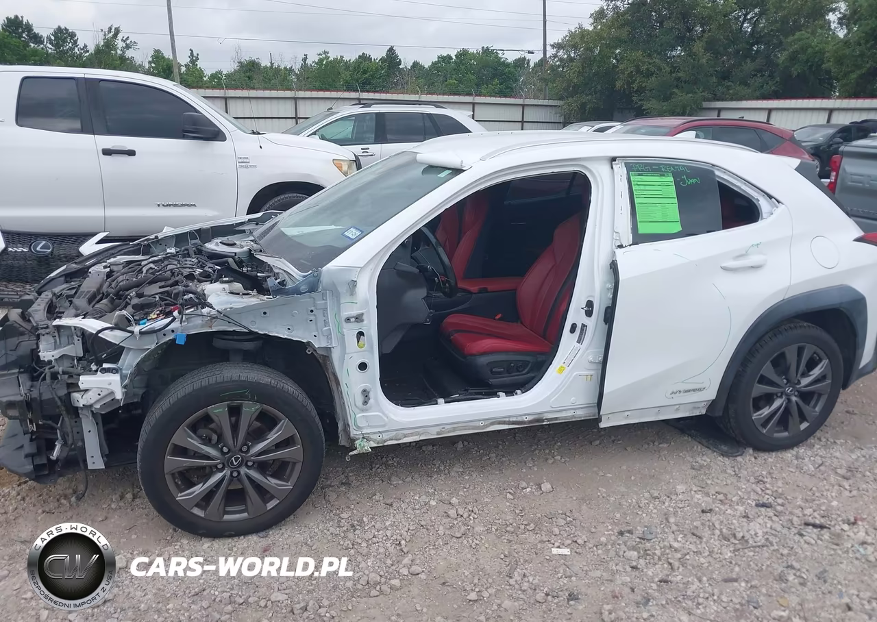 2020 Lexus Ux 250H F Sport VIN:JTHE9JBH1L2033861 - 18
