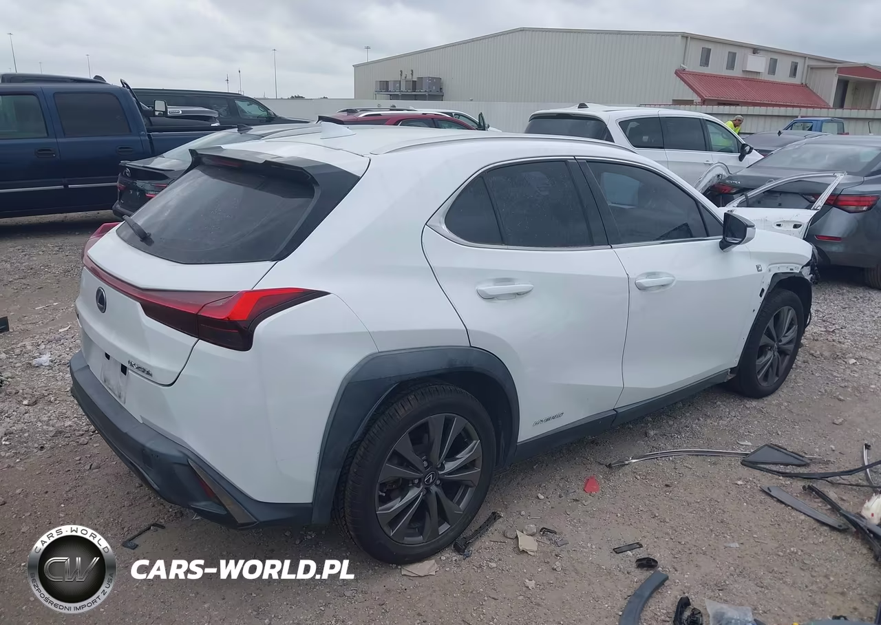 2020 Lexus Ux 250H F Sport VIN:JTHE9JBH1L2033861 - 4