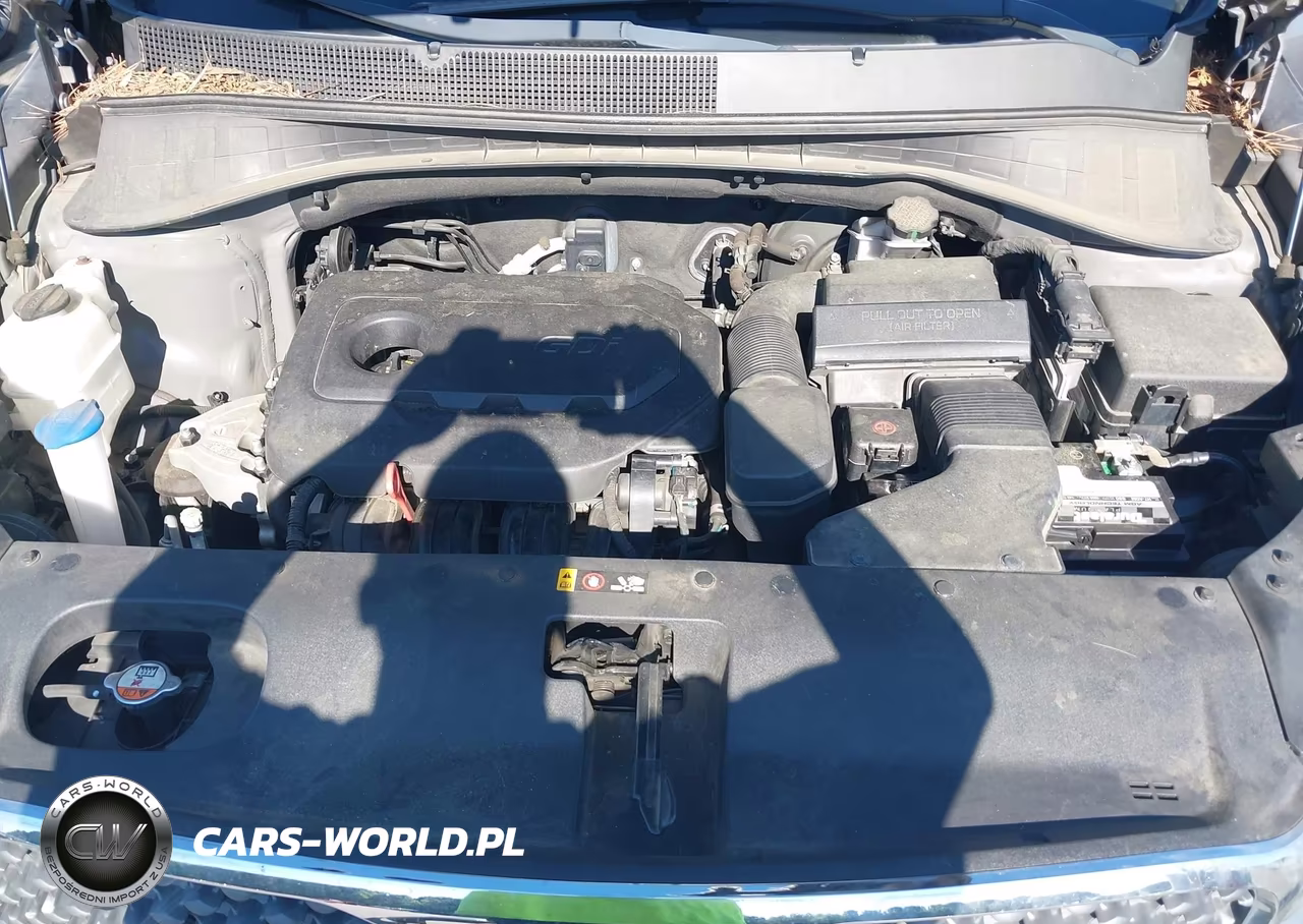 2018 Kia Sorento 2.4L Lx VIN:5XYPG4A38JG406663 - 10