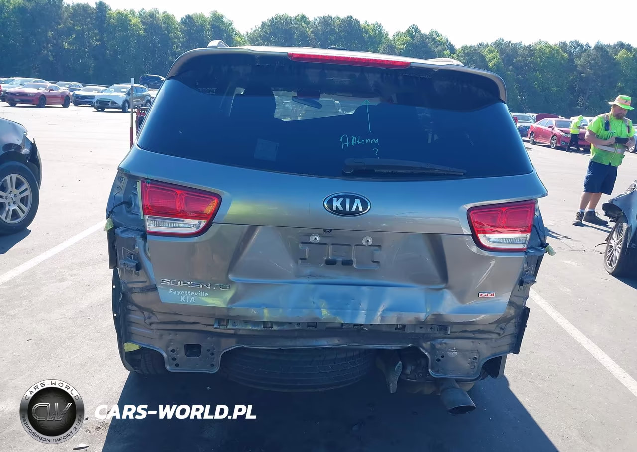 2018 Kia Sorento 2.4L Lx VIN:5XYPG4A38JG406663 - 17