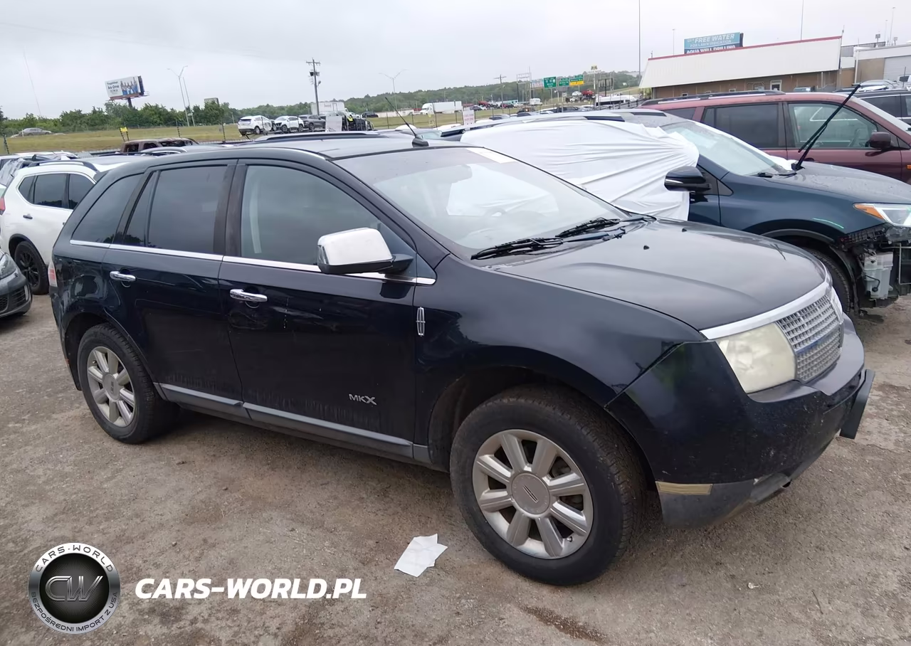 2009 Lincoln Mkx VIN:2LMDU88C39BJ07042 - 12