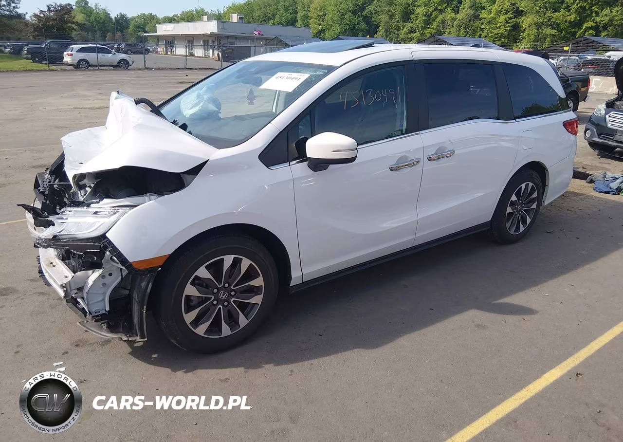2024 Honda Odyssey Ex-L VIN:5FNRL6H63RB032613 - 2