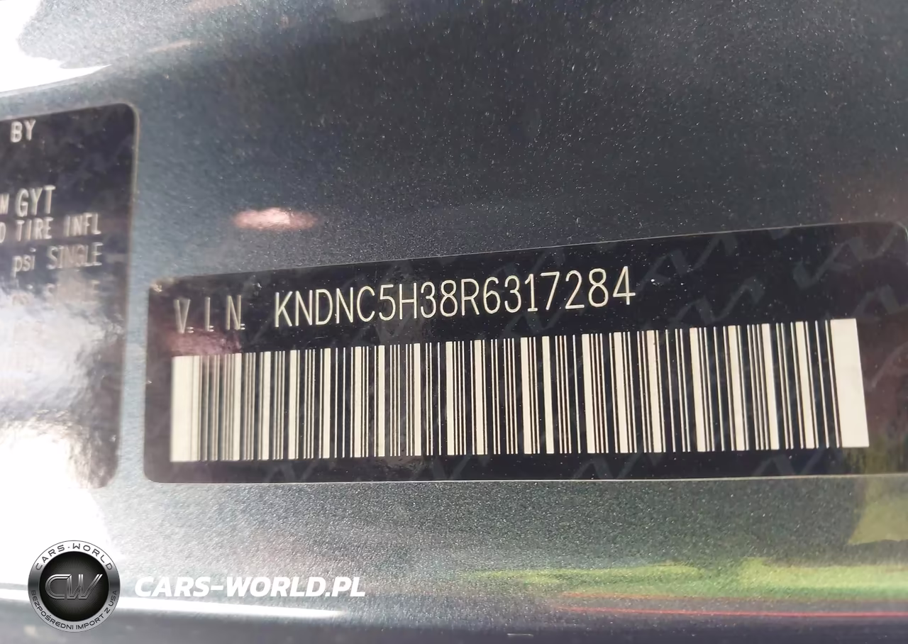 2024 Kia Carnival Mpv Ex VIN:KNDNC5H38R6317284 - 9