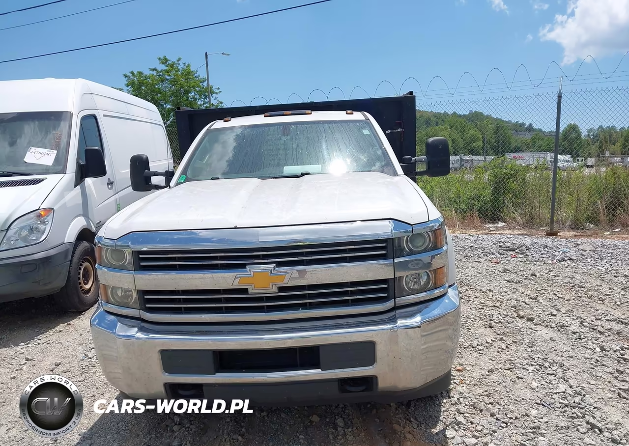 2018 Chevrolet Silverado 3500Hd Chassis Wt VIN:1GB3CYCG7JF105827 - 12