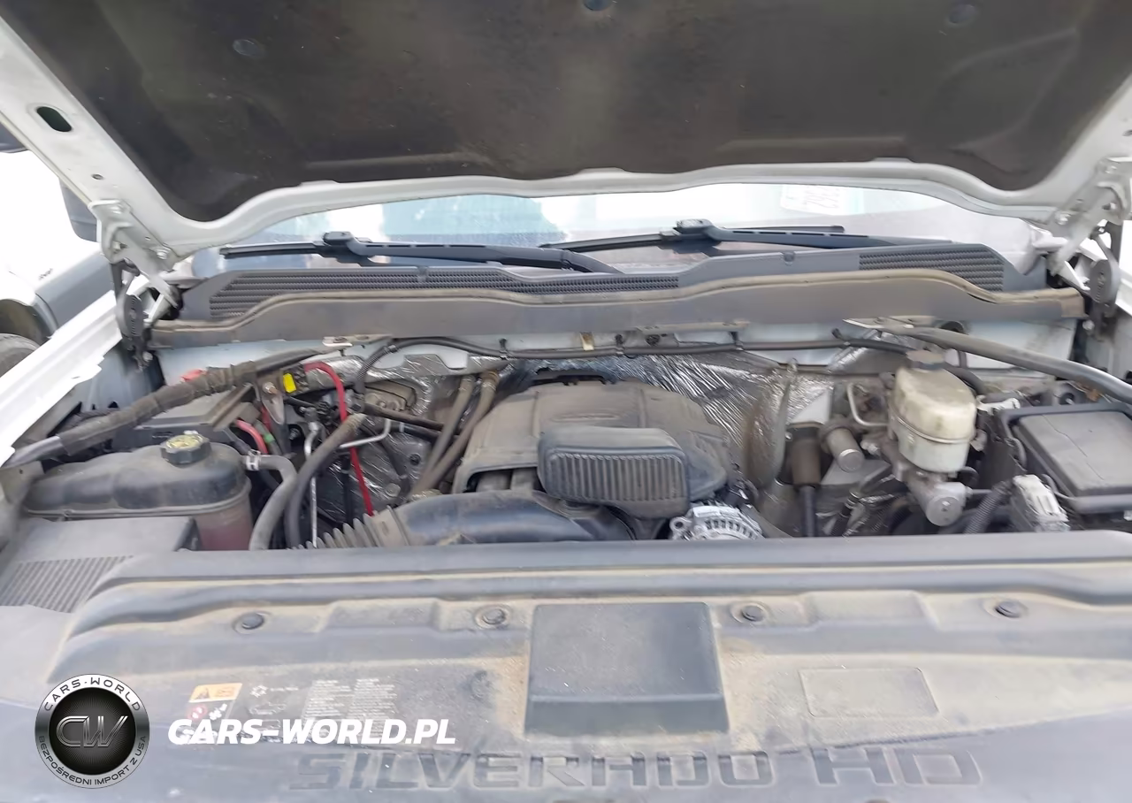 2018 Chevrolet Silverado 3500Hd Chassis Wt VIN:1GB3CYCG7JF105827 - 9