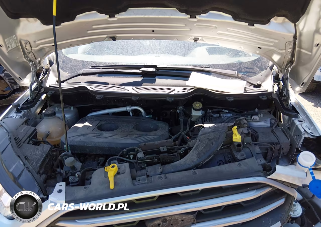 2020 Ford Ecosport Se VIN:MAJ6S3GL7LC392425 - 10