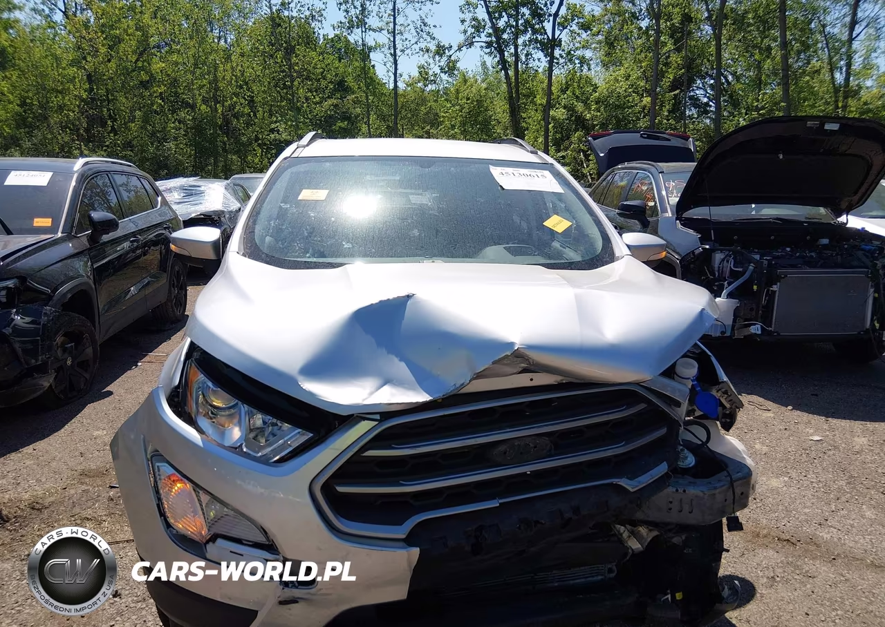 2020 Ford Ecosport Se VIN:MAJ6S3GL7LC392425 - 6