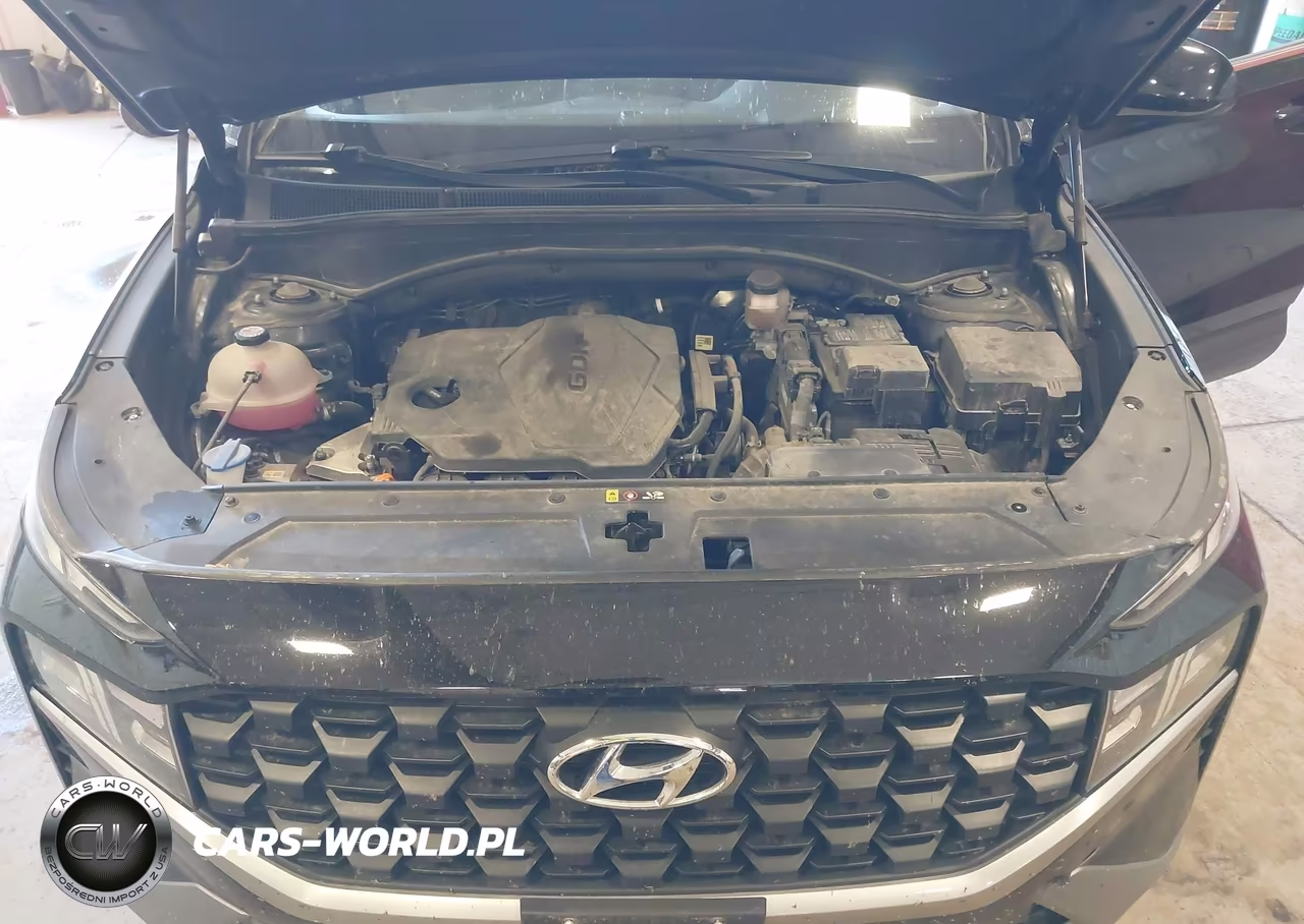 2021 Hyundai Santa Fe Se VIN:5NMS1DAJ9MH346641 - 10
