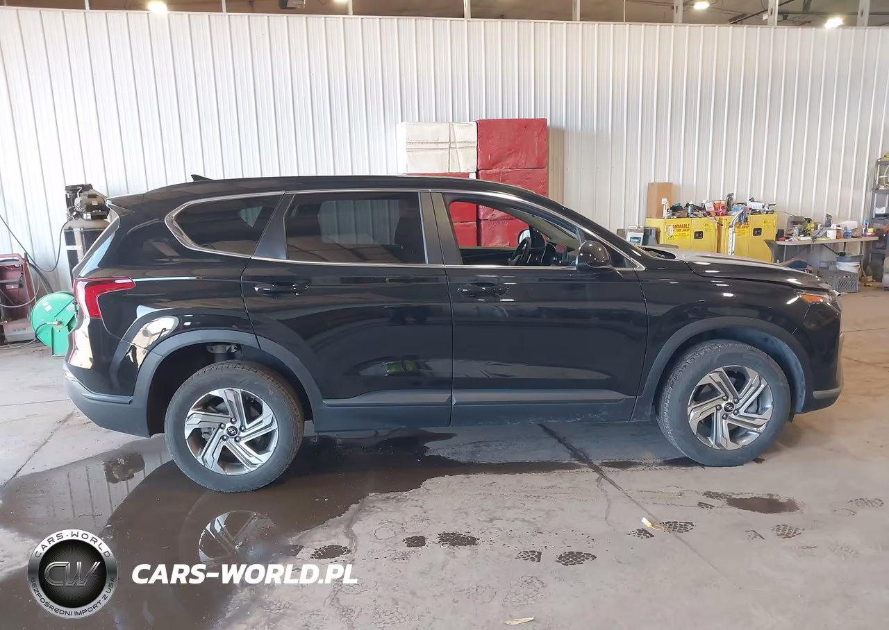 2021 Hyundai Santa Fe Se VIN:5NMS1DAJ9MH346641 - 13