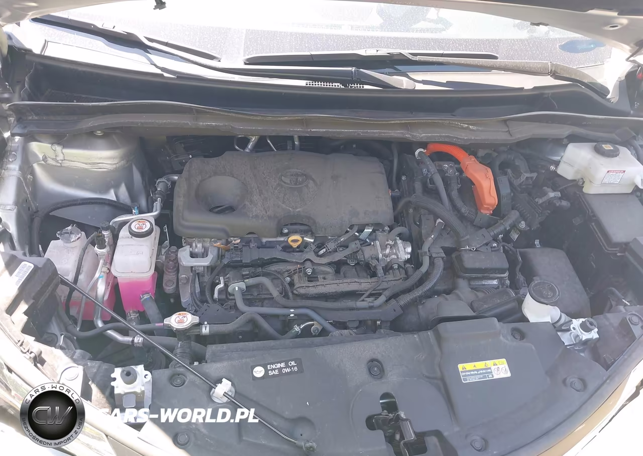 2024 Toyota Sienna Xle VIN:5TDJSKFC0RS135436 - 10