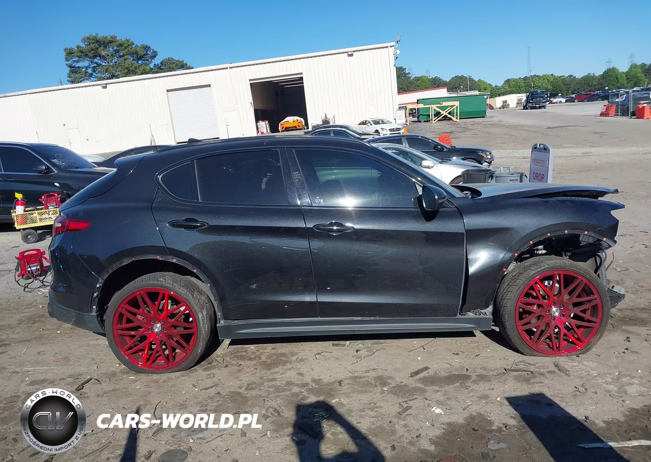 2020 Alfa Romeo Stelvio Awd VIN:ZASPAKAN4L7C92465 - 13