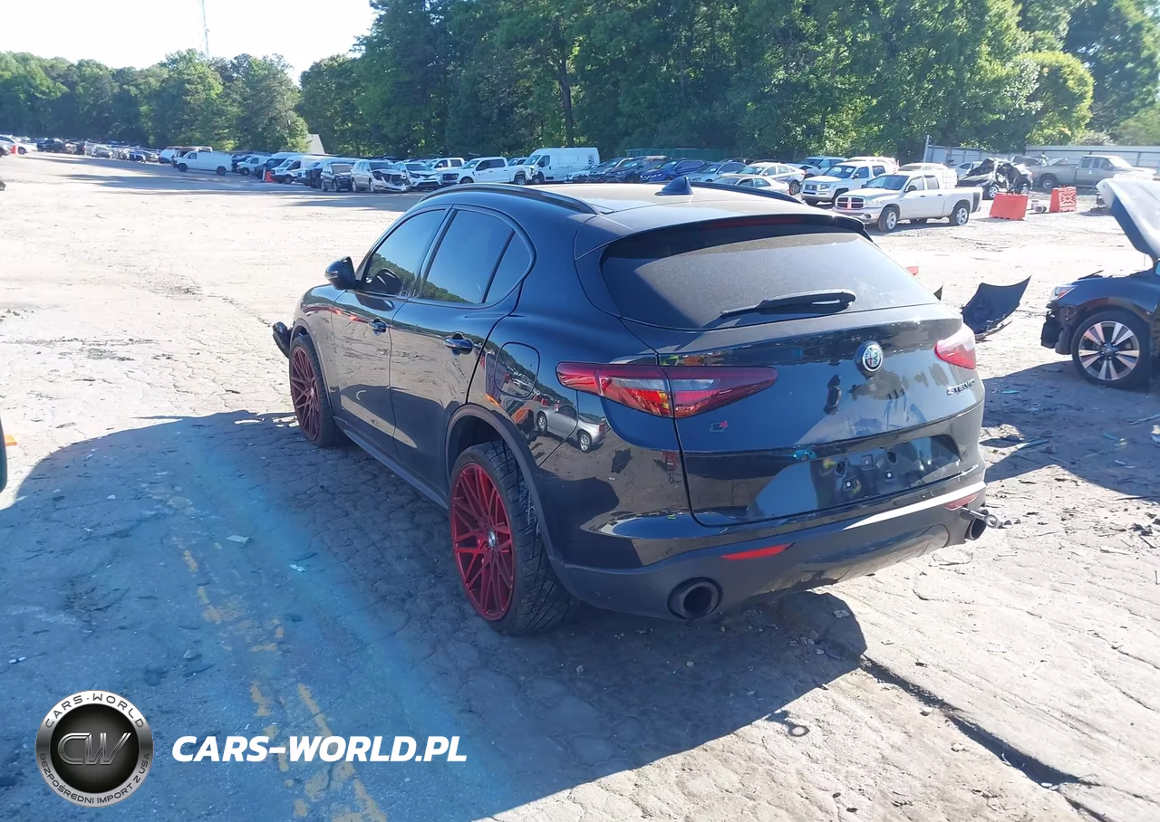 2020 Alfa Romeo Stelvio Awd VIN:ZASPAKAN4L7C92465 - 3