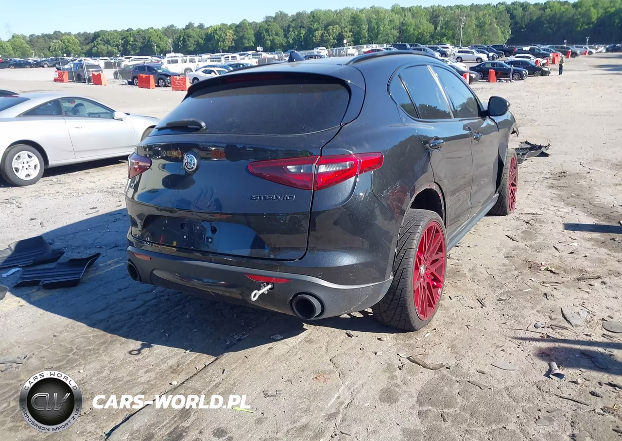 2020 Alfa Romeo Stelvio Awd VIN:ZASPAKAN4L7C92465 - 4