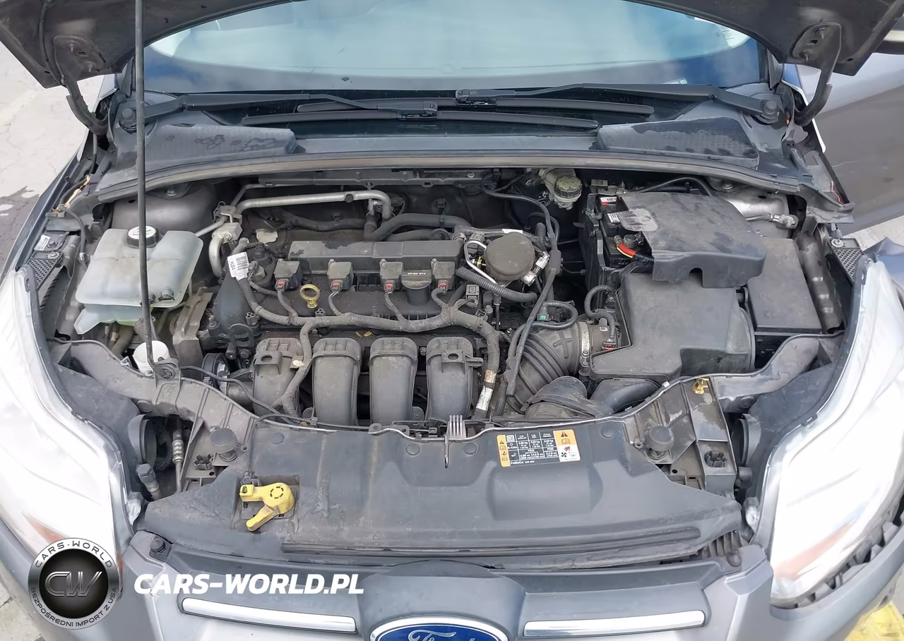 2014 Ford Focus Se VIN:1FADP3K29EL305876 - 10