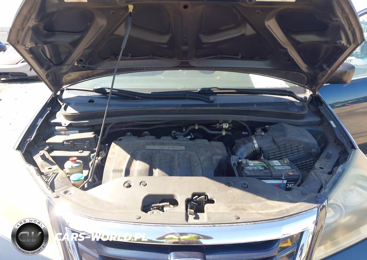 2009 Honda Odyssey Lx VIN:5FNRL382X9B058380 - 10
