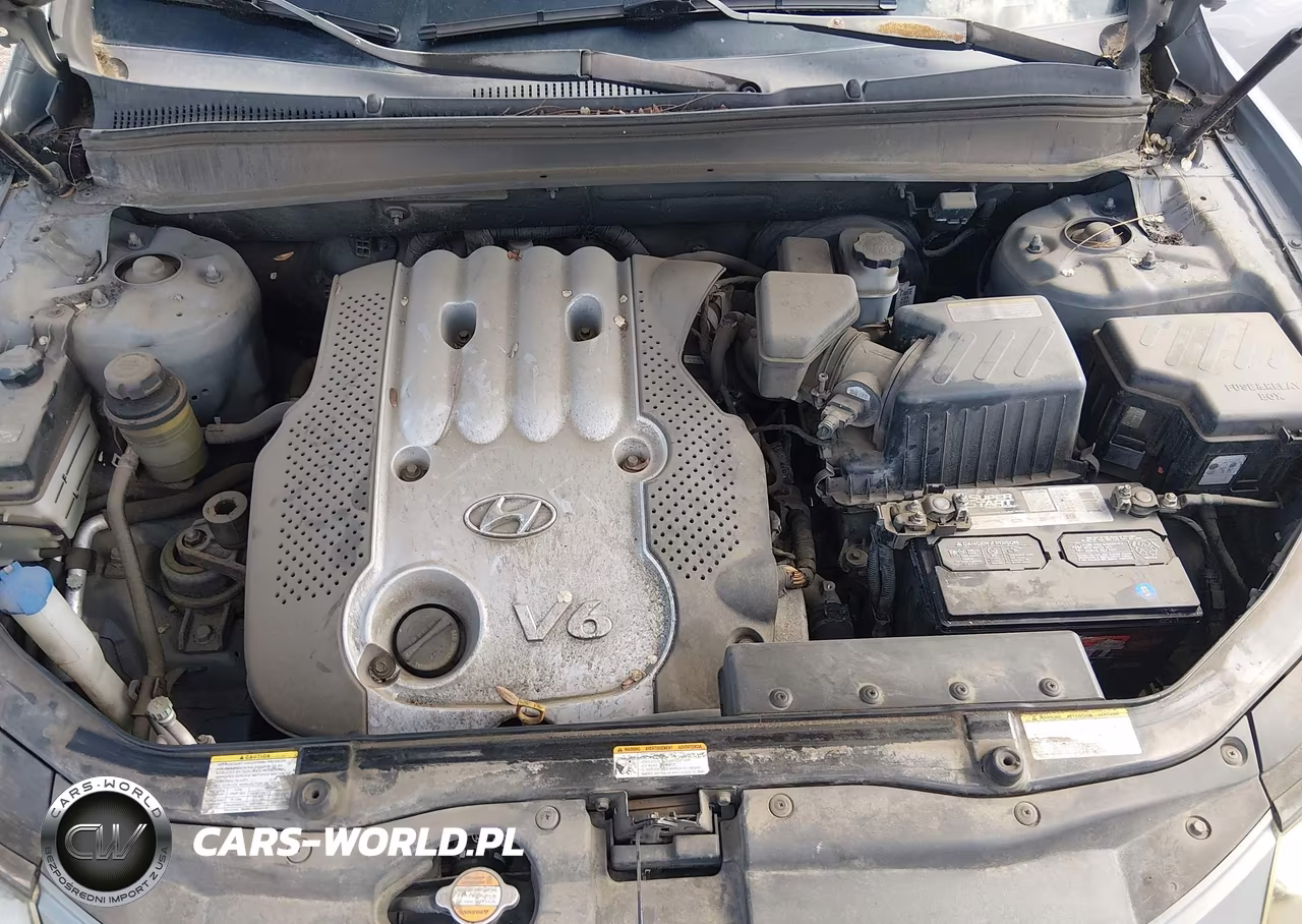 2007 Hyundai Santa Fe Gls VIN:5NMSG73D47H002985 - 10