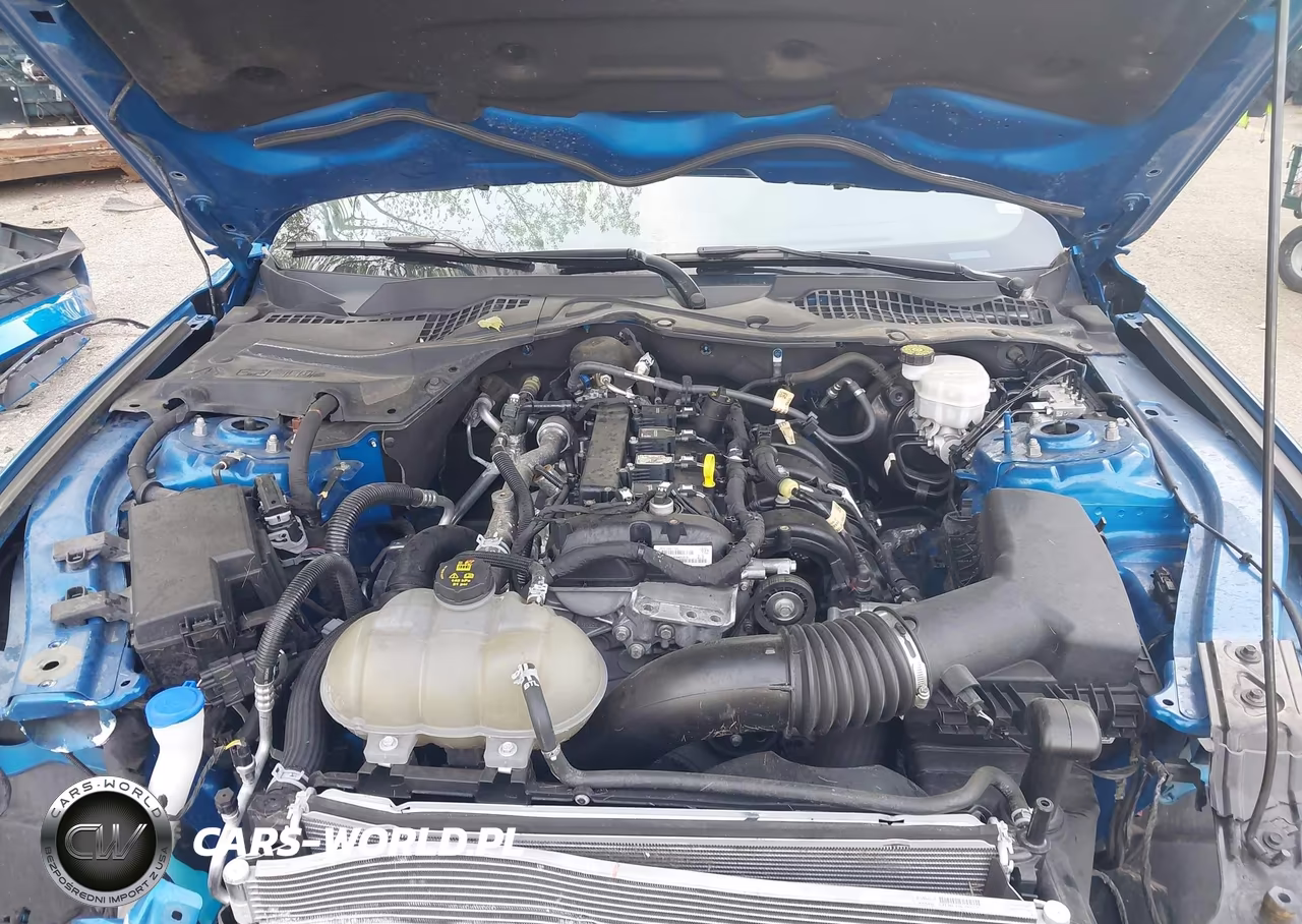 2021 Ford Mustang Ecoboost Fastback VIN:1FA6P8THXM5119758 - 10