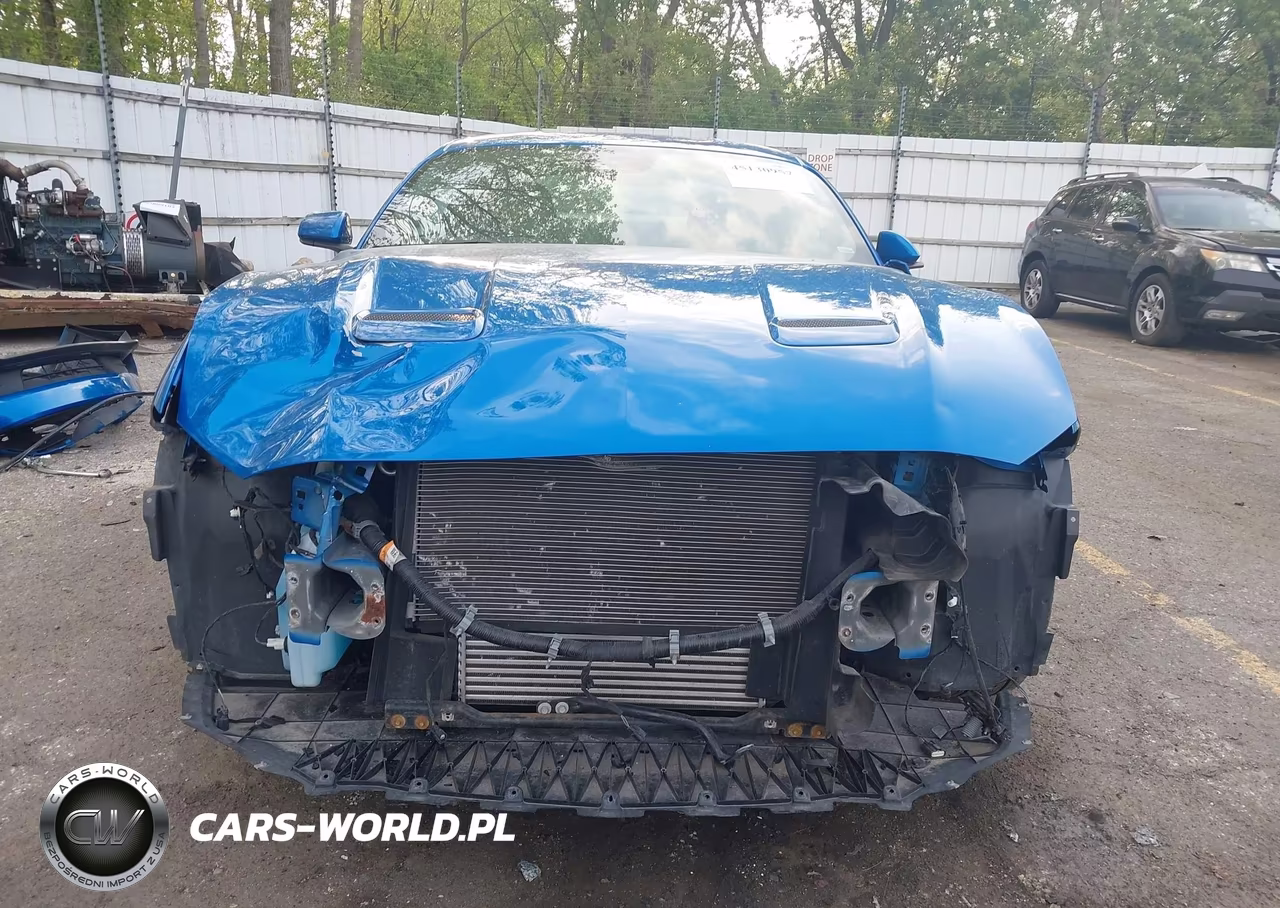 2021 Ford Mustang Ecoboost Fastback VIN:1FA6P8THXM5119758 - 13