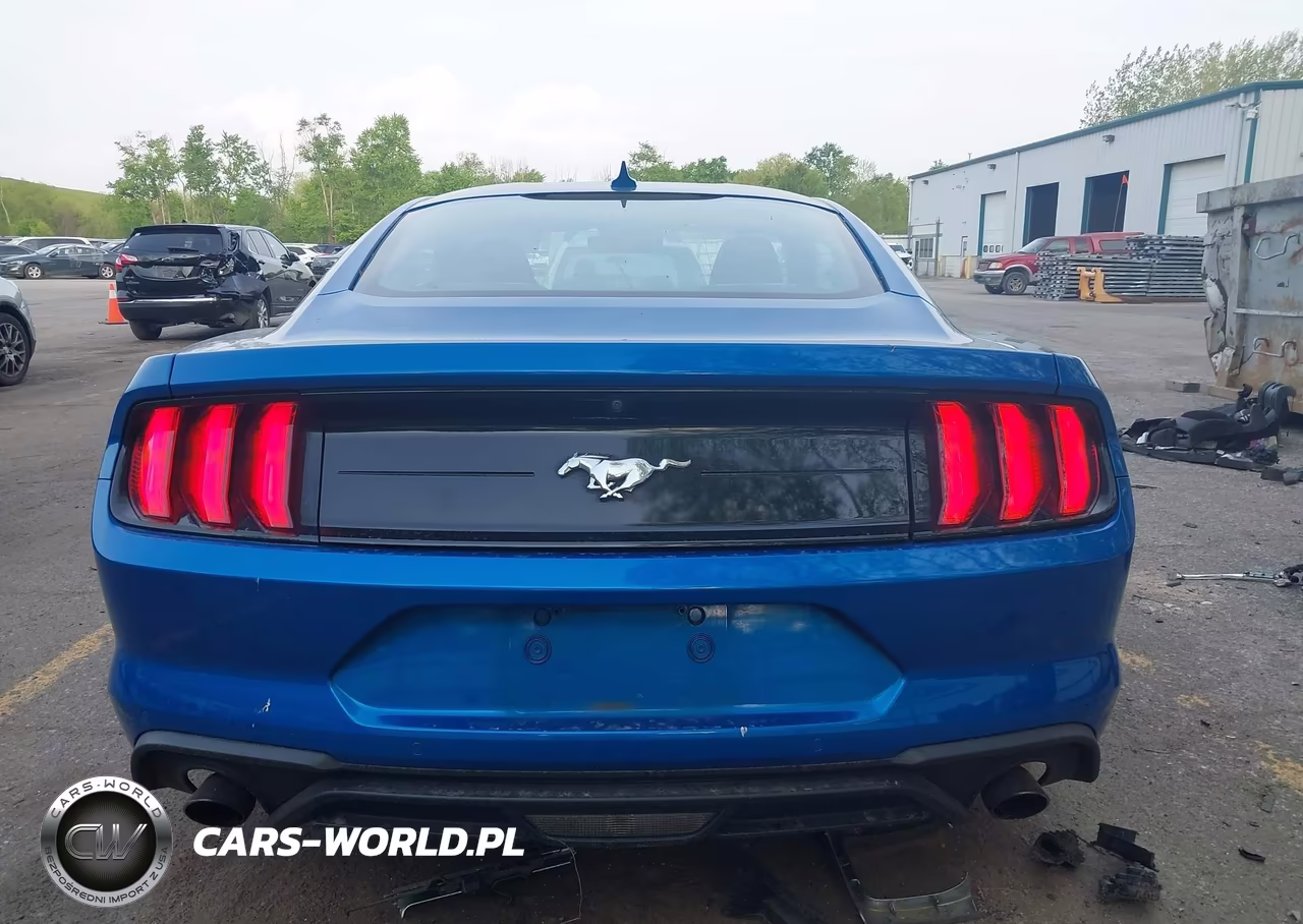 2021 Ford Mustang Ecoboost Fastback VIN:1FA6P8THXM5119758 - 17