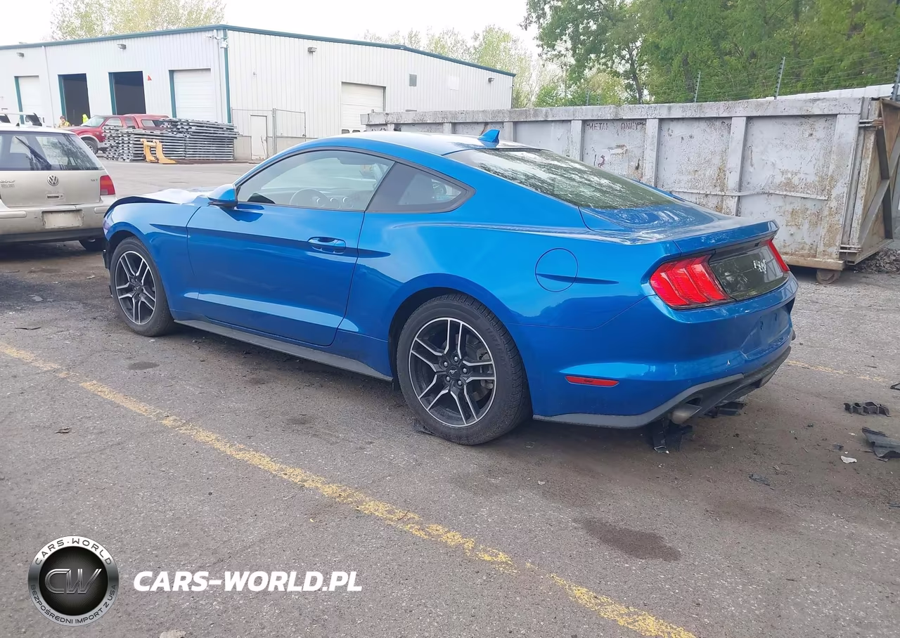 2021 Ford Mustang Ecoboost Fastback VIN:1FA6P8THXM5119758 - 3