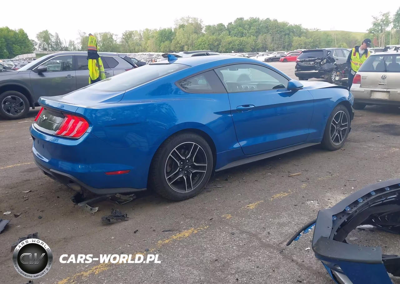 2021 Ford Mustang Ecoboost Fastback VIN:1FA6P8THXM5119758 - 4