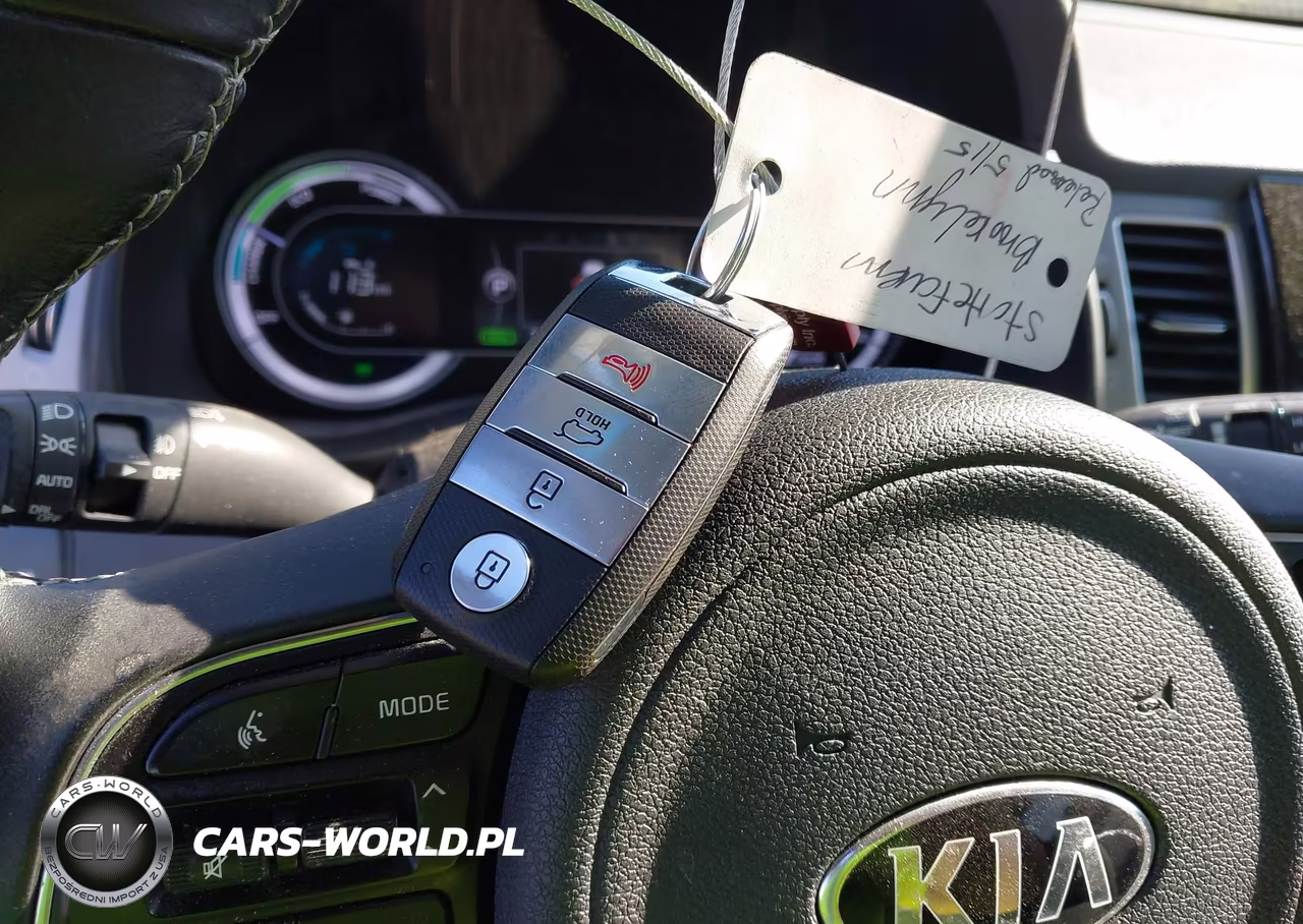 2019 Kia Niro Lx VIN:KNDCB3LC4K5222612 - 11