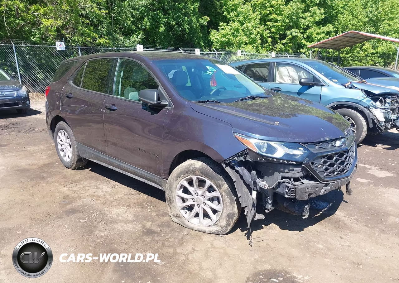 2019 Chevrolet Equinox Ls – zdjęcie 1 z 16