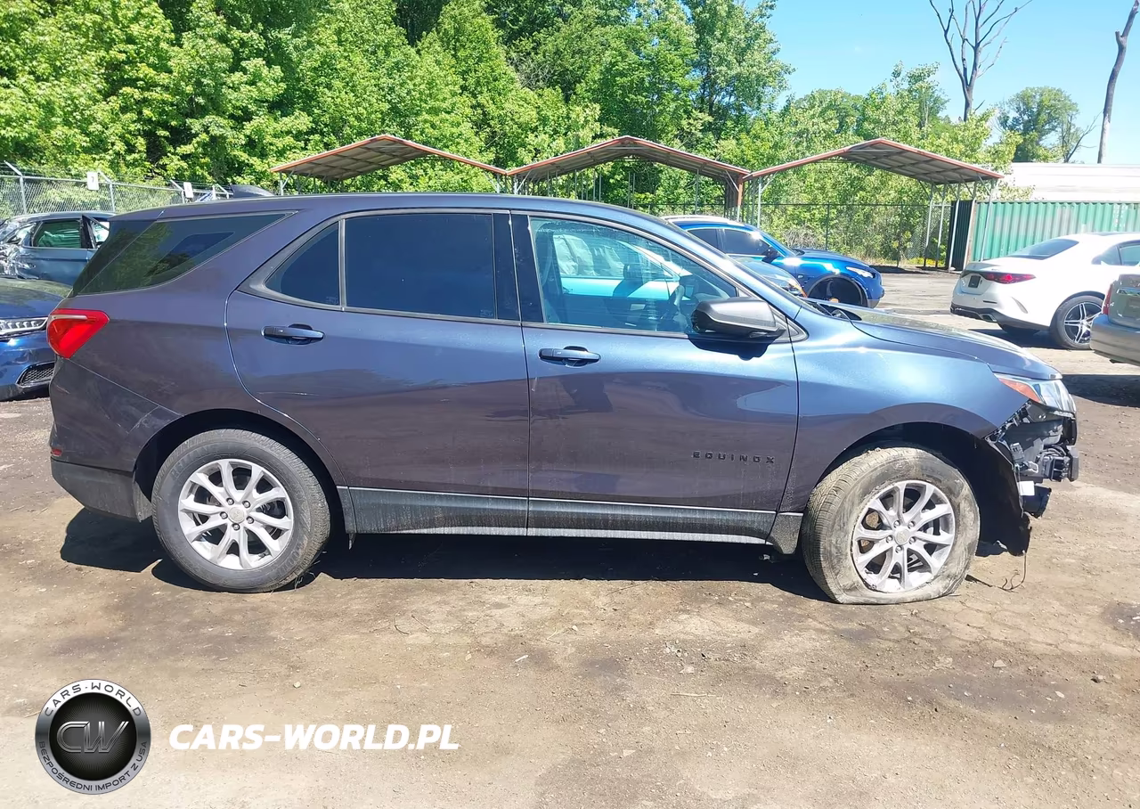 2019 Chevrolet Equinox Ls VIN:3GNAXHEV9KL233424 - 13