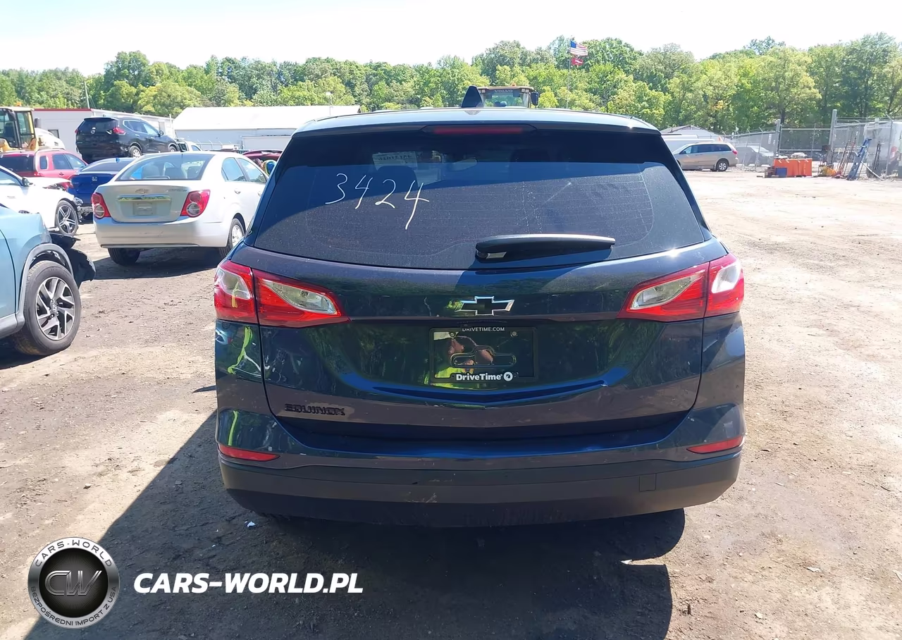 2019 Chevrolet Equinox Ls VIN:3GNAXHEV9KL233424 - 16