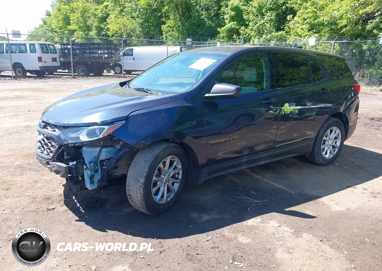 2019 Chevrolet Equinox Ls VIN:3GNAXHEV9KL233424 - 2