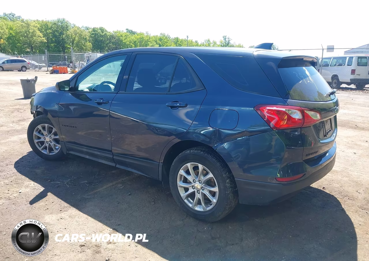 2019 Chevrolet Equinox Ls VIN:3GNAXHEV9KL233424 - 3