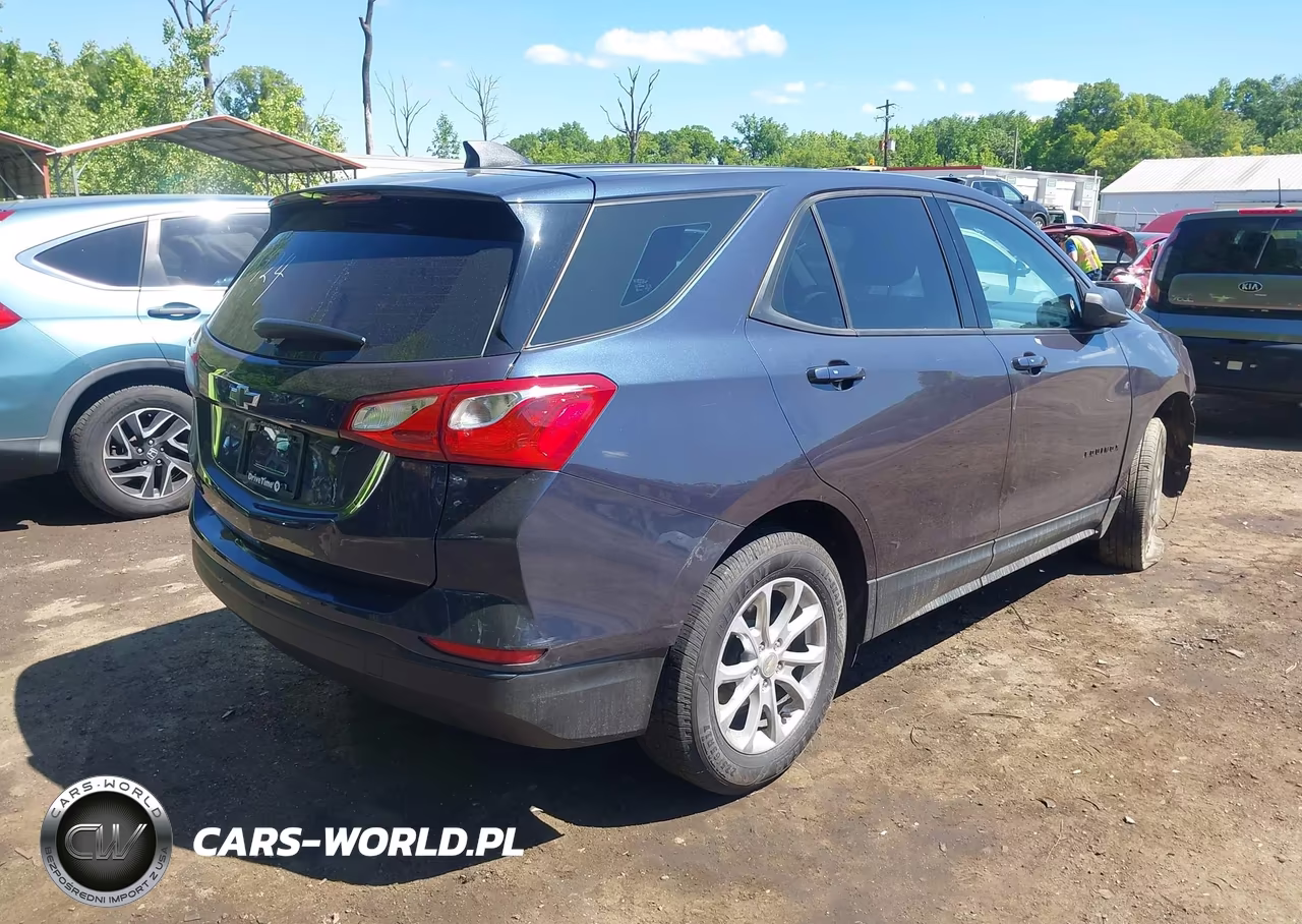2019 Chevrolet Equinox Ls VIN:3GNAXHEV9KL233424 - 4
