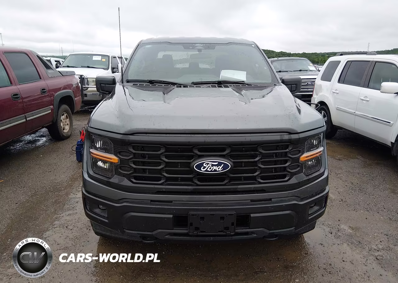 2025 Ford F-150 Stx VIN:1FTEW2LP9SKE16550 - 12