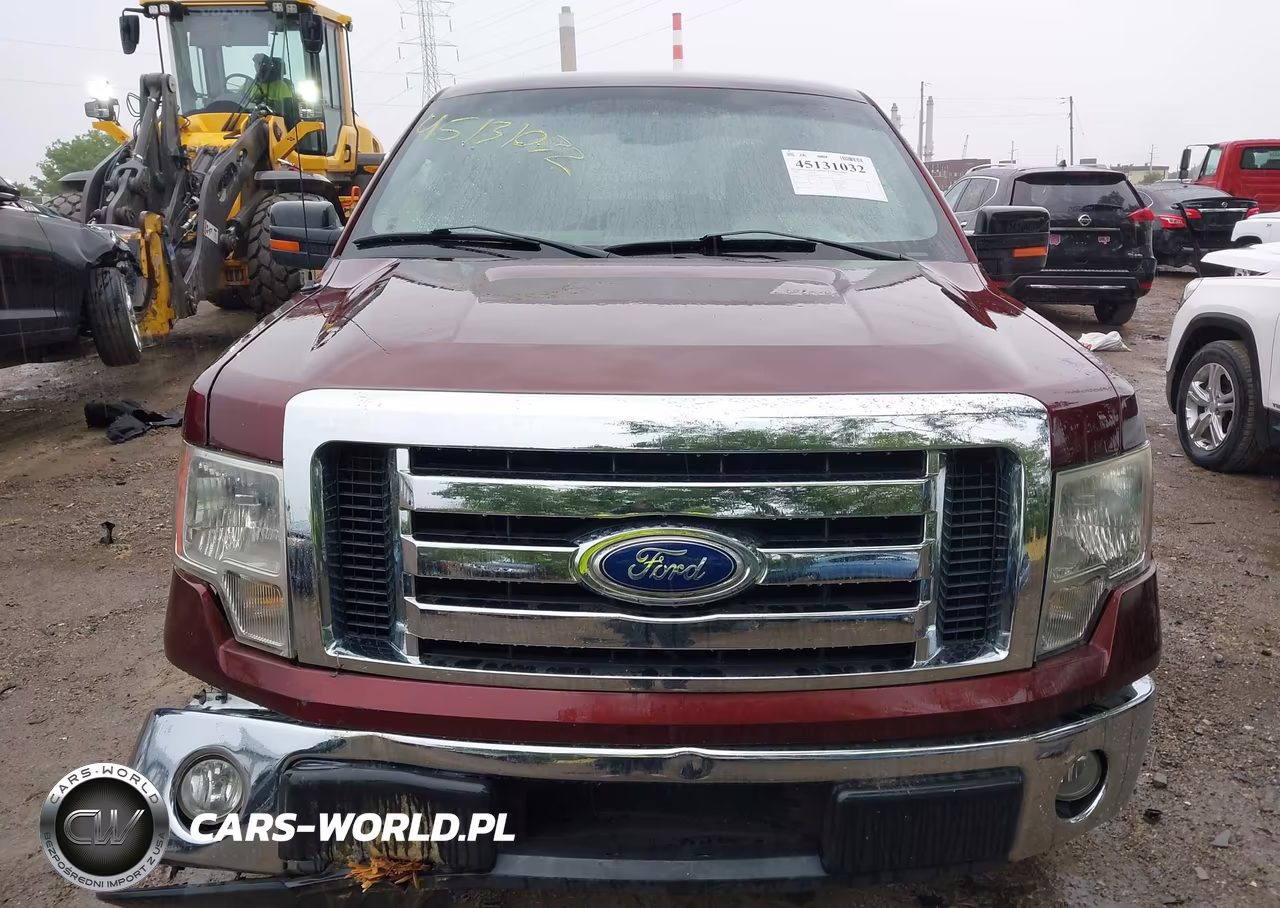 2010 Ford F-150 Fx2 Sport-Harley-Davidson-King Ranch-Lariat-Platinum-Xl-Xlt VIN:1FTFW1CV4AKE22316 - 12