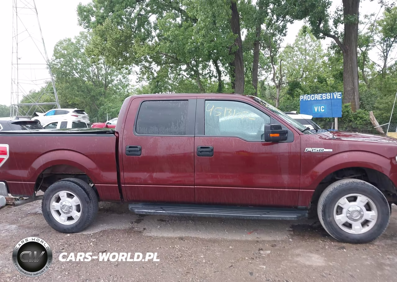 2010 Ford F-150 Fx2 Sport-Harley-Davidson-King Ranch-Lariat-Platinum-Xl-Xlt VIN:1FTFW1CV4AKE22316 - 13