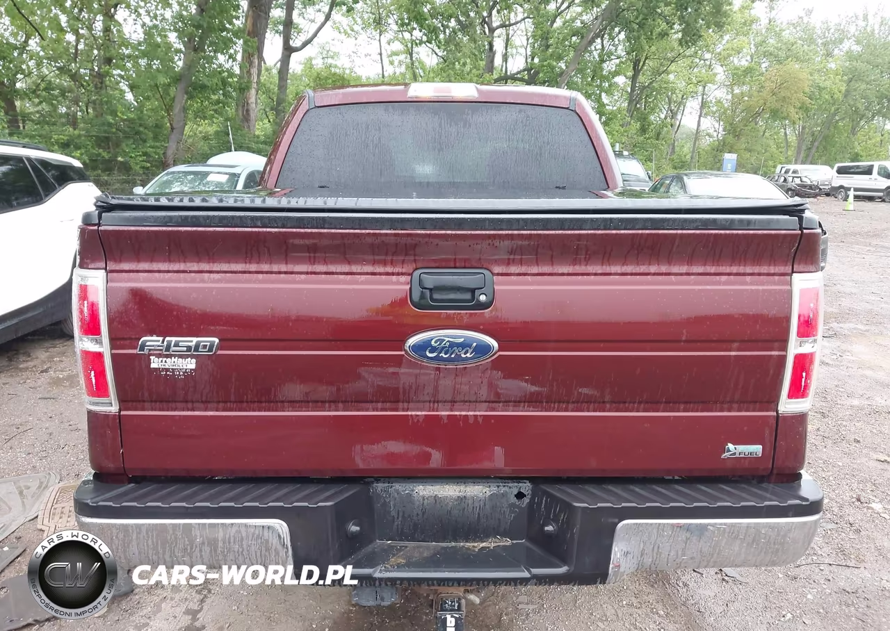 2010 Ford F-150 Fx2 Sport-Harley-Davidson-King Ranch-Lariat-Platinum-Xl-Xlt VIN:1FTFW1CV4AKE22316 - 16