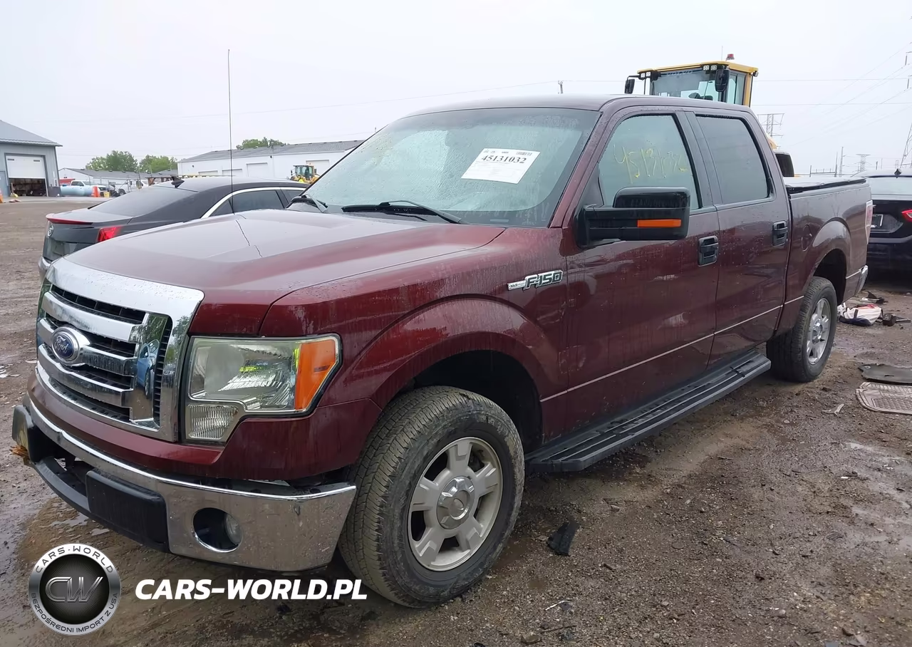 2010 Ford F-150 Fx2 Sport-Harley-Davidson-King Ranch-Lariat-Platinum-Xl-Xlt VIN:1FTFW1CV4AKE22316 - 2