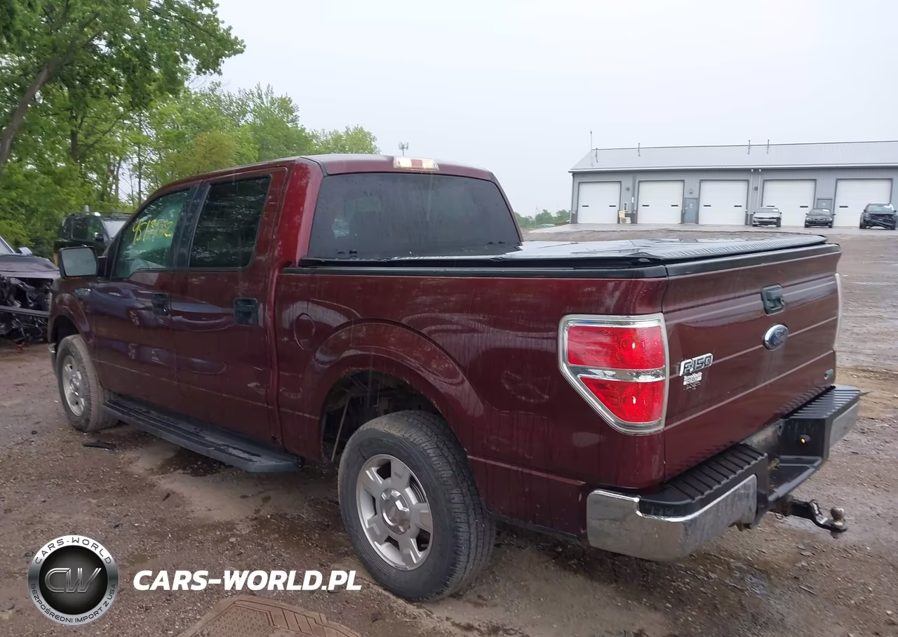2010 Ford F-150 Fx2 Sport-Harley-Davidson-King Ranch-Lariat-Platinum-Xl-Xlt VIN:1FTFW1CV4AKE22316 - 3