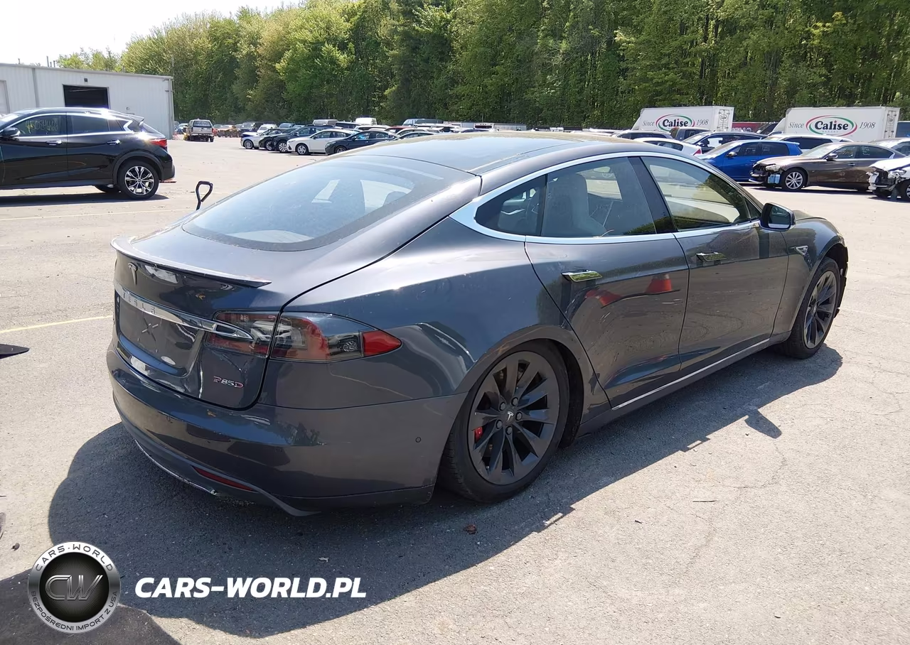 2015 Tesla Model S 85D-P85D VIN:5YJSA1H49FF092867 - 4