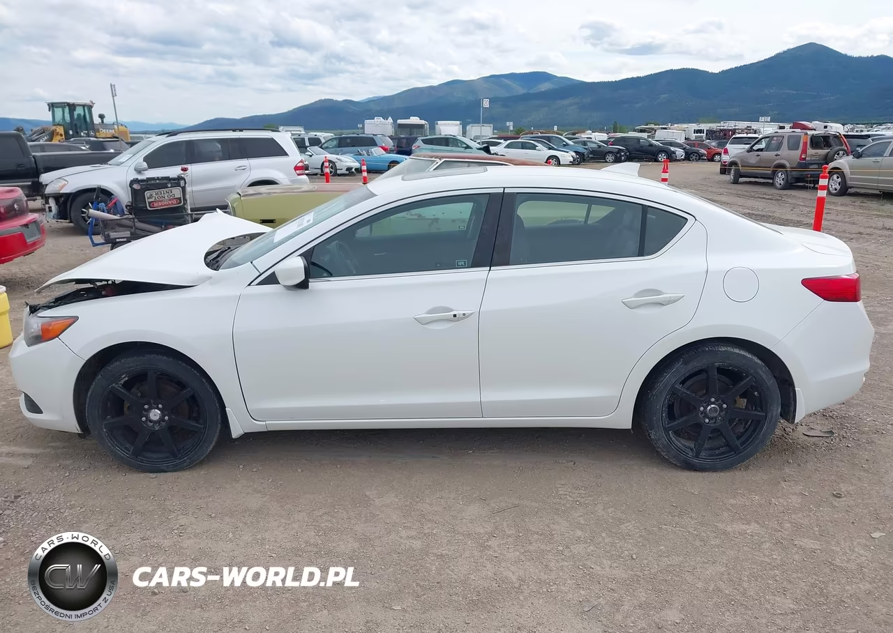 2014 Acura Ilx 2.0L VIN:19VDE1F33EE013293 - 14