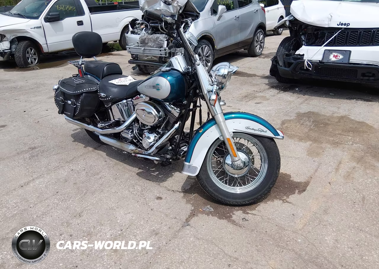 2004 Harley-Davidson Flstci